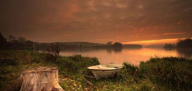 كلمات ومعاني عن الحياة كلمات ومعاني عن الحياة