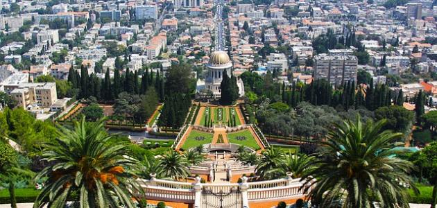 كم تبلغ مساحة فلسطين