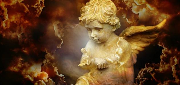 كم ديانة في العالم كم ديانة في العالم