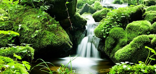 كم عدد أبواب الجنة وأسماؤها كم عدد أبواب الجنة وأسماؤها