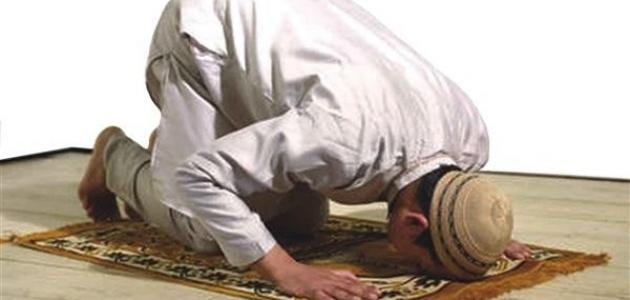 كم عدد ركعات السنن الرواتب كم عدد ركعات السنن الرواتب