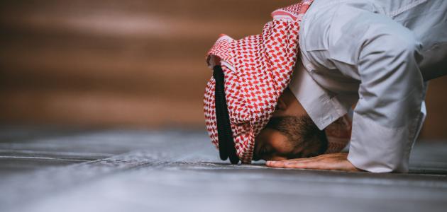 كم عدد ركعات سنة الظهر كم عدد ركعات سنة الظهر