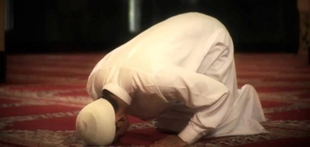 كم عدد ركعات صلاة المغرب كم عدد ركعات صلاة المغرب