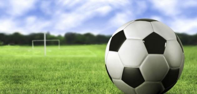 كم عدد لاعبي كرة القدم كم عدد لاعبي كرة القدم