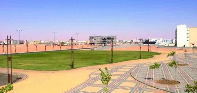 كم عدد ولايات الجزائر كم عدد ولايات الجزائر