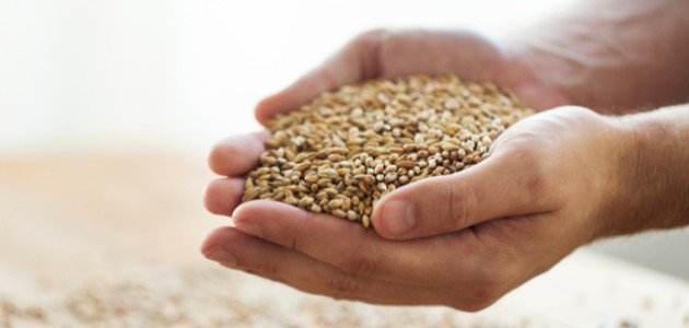 كم مقدار الصاع كم مقدار الصاع