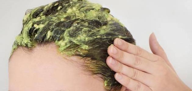 كيفية استخدام ماسك الشعر كيفية استخدام ماسك الشعر