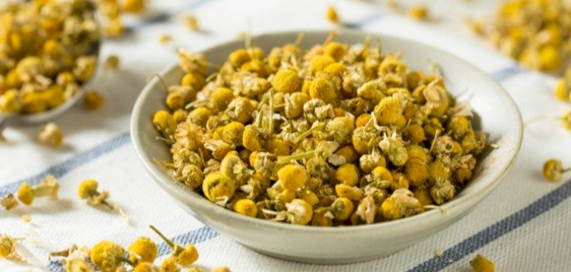 كيفية استعمال البابونج كيفية استعمال البابونج