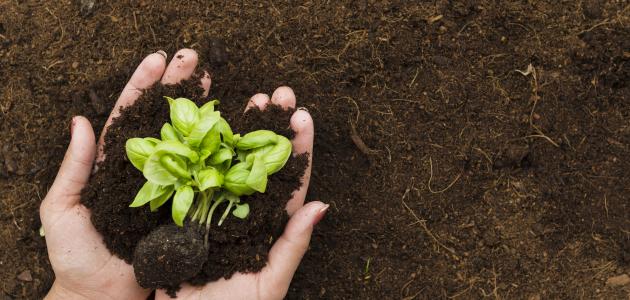 كيفية الحد من تلوث التربة كيفية الحد من تلوث التربة