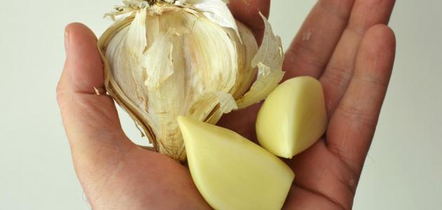 كيفية تناول الثوم كيفية تناول الثوم