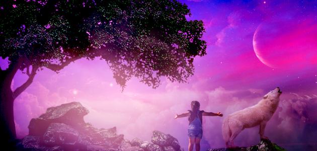 كيفية دمج صورتين بجانب بعض كيفية دمج صورتين بجانب بعض