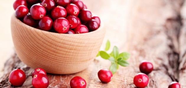 كيفية زراعة التوت البري كيفية زراعة التوت البري