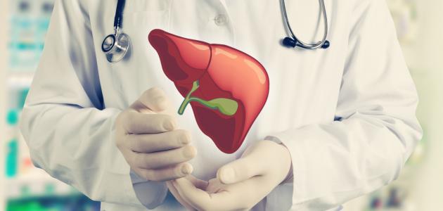 كيفية زراعة الكبد كيفية زراعة الكبد