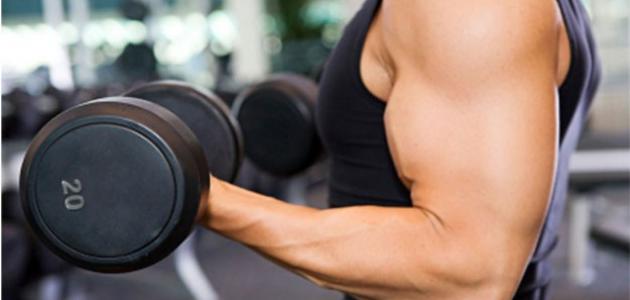 كيفية زيادة الوزن بالرياضة