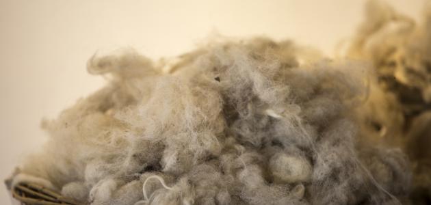 كيفية صنع الصوف كيفية صنع الصوف