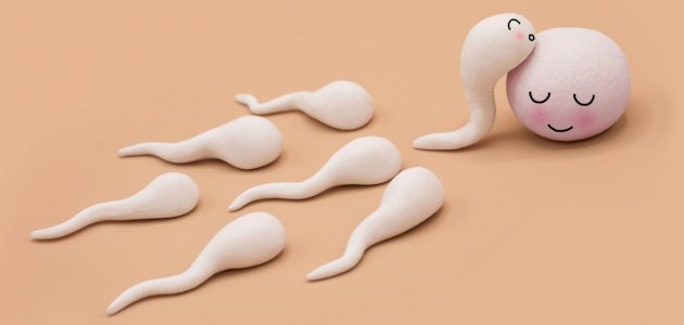 كيفية علاج ضعف التبويض كيفية علاج ضعف التبويض