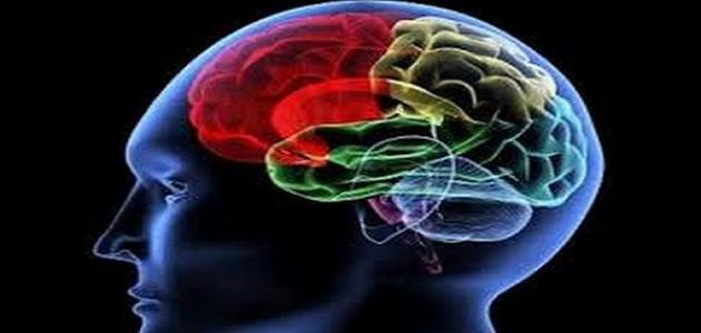 كيف أتعلم علم النفس