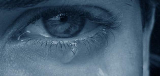 كيف أتوب عن المعاصي كيف أتوب عن المعاصي