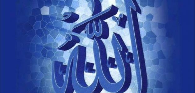 كيف أجعل ربي يحبني كيف أجعل ربي يحبني