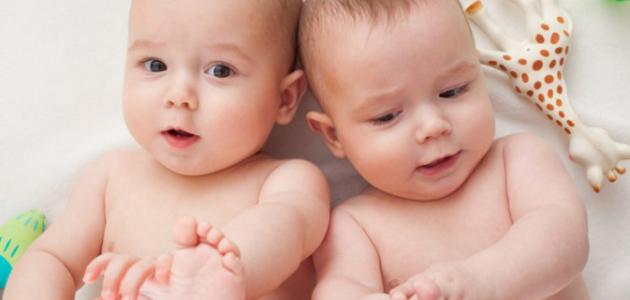 كيف أحمل بتوأم طبيعي كيف أحمل بتوأم طبيعي