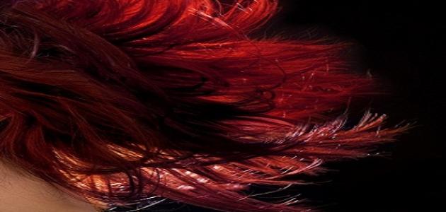 كيف أعالج شعري التالف من الصبغات كيف أعالج شعري التالف من الصبغات