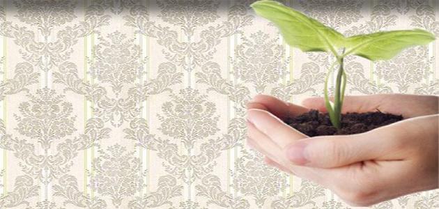 كيف أعمل صدقة جارية كيف أعمل صدقة جارية