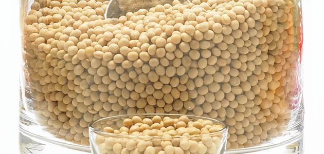 كيف استعمل فول الصويا