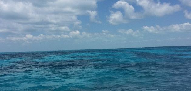 كيف تتحرك مياه المحيطات كيف تتحرك مياه المحيطات