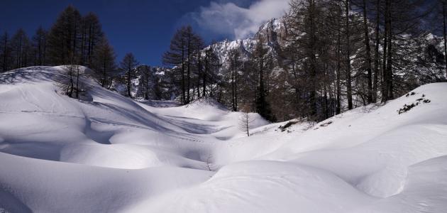 كيف تتكون الثلوج