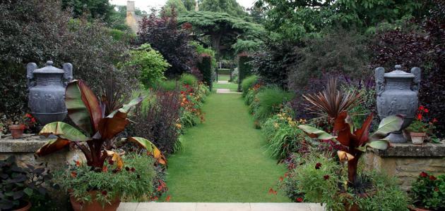 كيف تزرع النباتات في المنزل كيف تزرع النباتات في المنزل