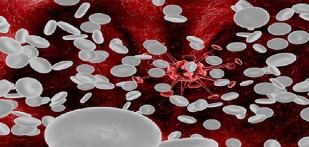 كيف تزيد كريات الدم البيضاء كيف تزيد كريات الدم البيضاء