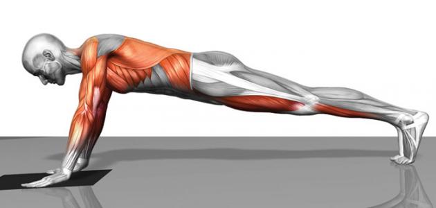 كيف تشد عضلات البطن في أسبوع كيف تشد عضلات البطن في أسبوع