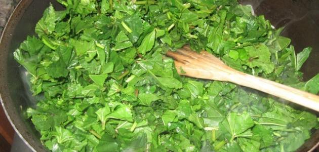 كيف تطبخ الخبيزة كيف تطبخ الخبيزة