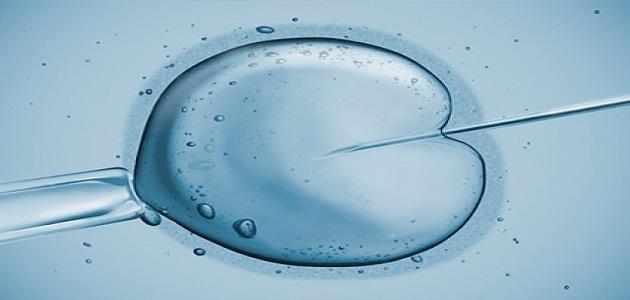 كيف تكون عملية طفل الانابيب كيف تكون عملية طفل الانابيب