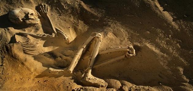 كيف خلق الإنسان من تراب كيف خلق الإنسان من تراب