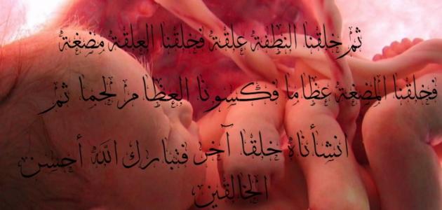 كيف خلق الله الانسان كيف خلق الله الانسان