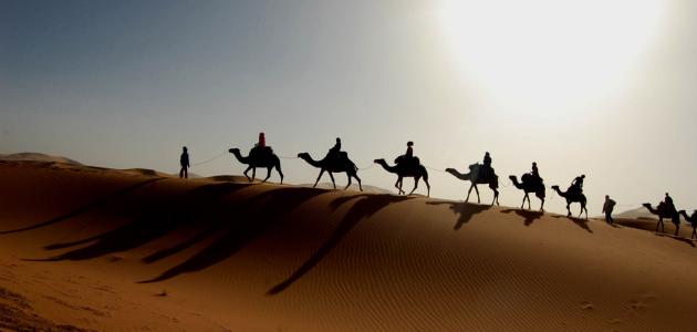 كيف كانت الصحراء قديماً كيف كانت الصحراء قديماً