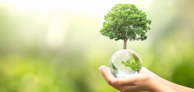 كيف نحافظ على الموارد الطبيعية كيف نحافظ على الموارد الطبيعية