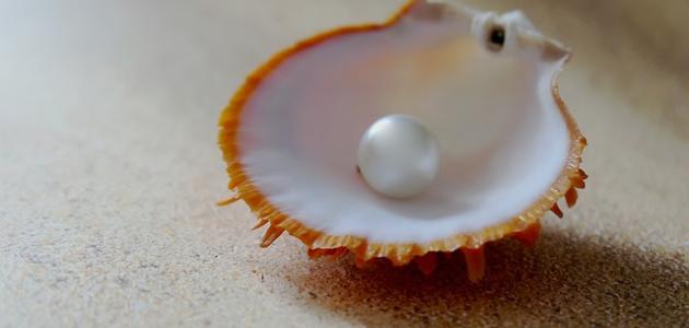 كيف يتكون اللؤلؤ