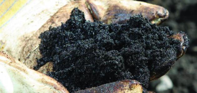 كيف يتكون النفط في باطن الأرض