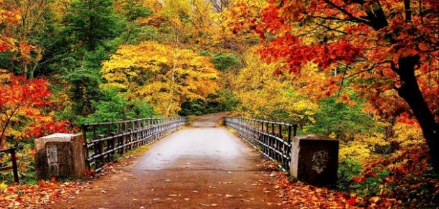 كيف يتم فصل مشتقات النفط كيف يتم فصل مشتقات النفط