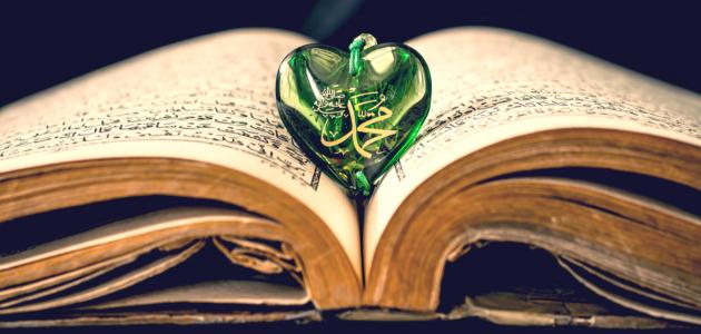 كيف يكون حب الرسول كيف يكون حب الرسول