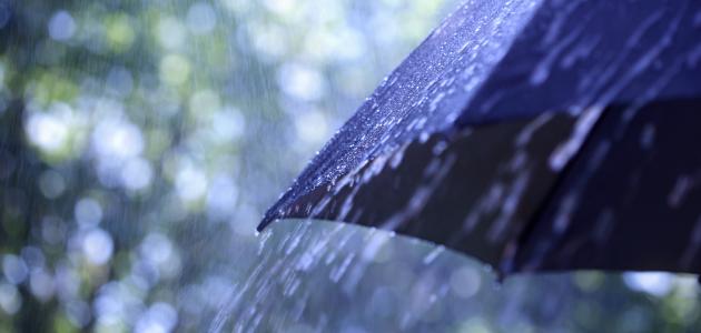 كيف يهطل المطر كيف يهطل المطر