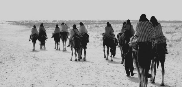 لماذا سميت قبيلة قريش بهذا الإسم لماذا سميت قبيلة قريش بهذا الإسم