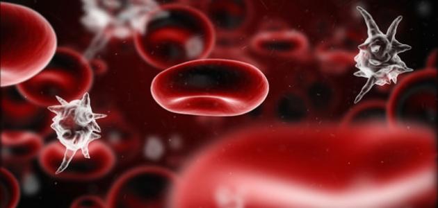 ما أسباب ارتفاع كريات الدم البيضاء ما أسباب ارتفاع كريات الدم البيضاء