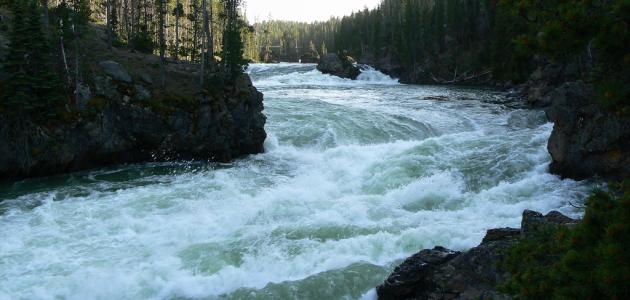 ما أهمية الماء في حياتنا ما أهمية الماء في حياتنا