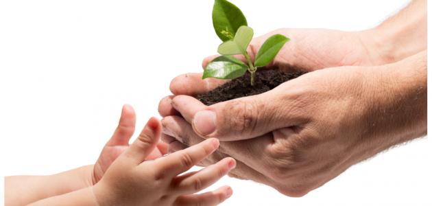 ما اجر كافل اليتيم ما اجر كافل اليتيم