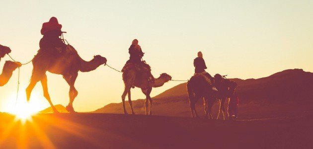 ما المقصود بحمر النعم ما المقصود بحمر النعم