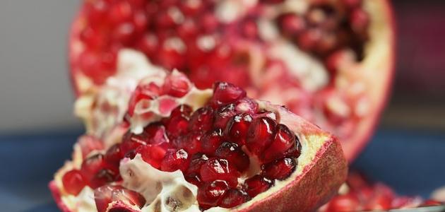 ما طرق العلاج من الدودة الشريطية