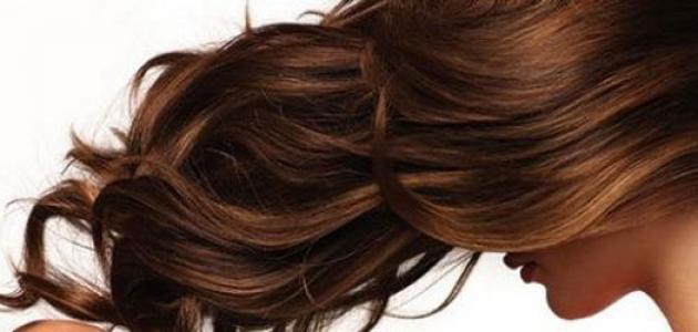 ما فائدة النخاع للشعر ما فائدة النخاع للشعر